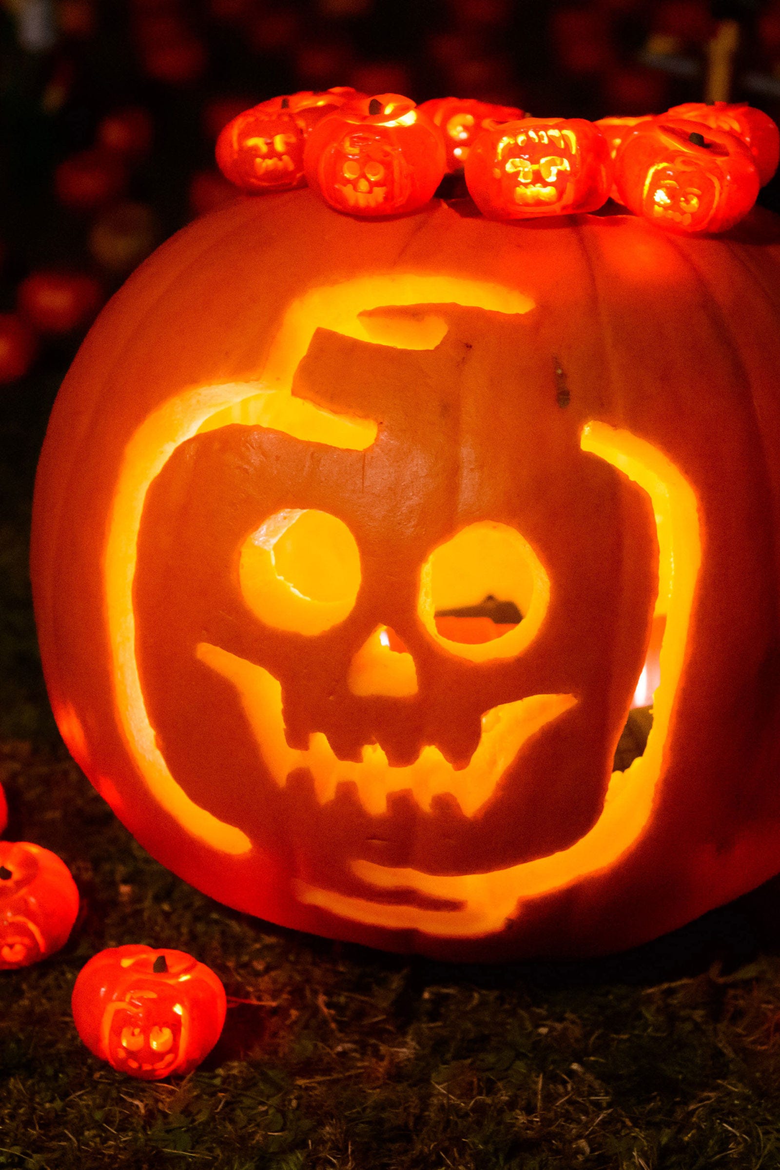 You Can Visit The World\u0027s Smallest Pumpkin Patch